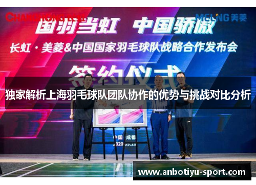 独家解析上海羽毛球队团队协作的优势与挑战对比分析